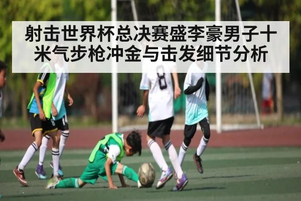 射击世界杯总决赛盛李豪男子十米气步枪冲金与击发细节分析