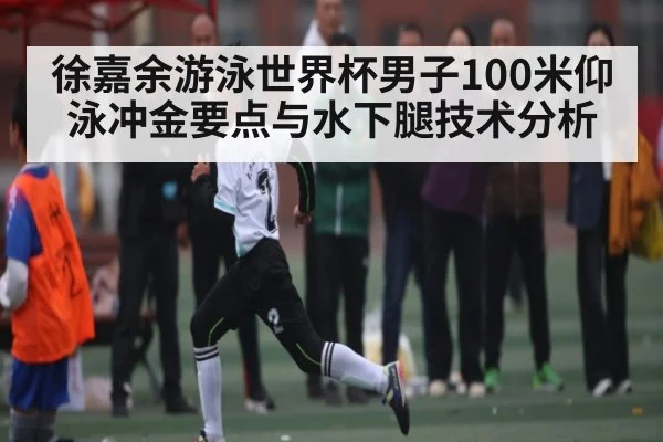 徐嘉余游泳世界杯男子100米仰泳冲金要点与水下腿技术分析